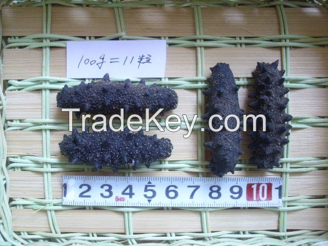 Quality Dried Sea Cucumbers (Sea Food)