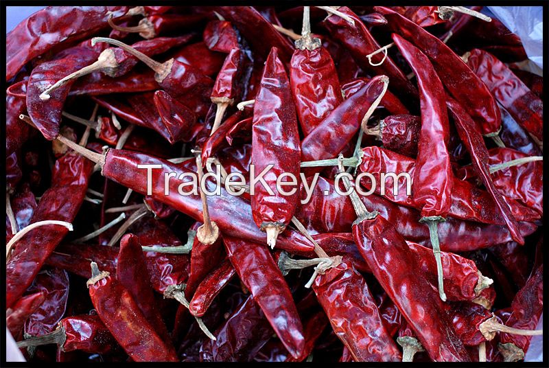 Hot Chili, Red Hot Chili, Dried Hot Chili, Hot Chili Stemless, Hot Chili No Stems, Hot Chili New