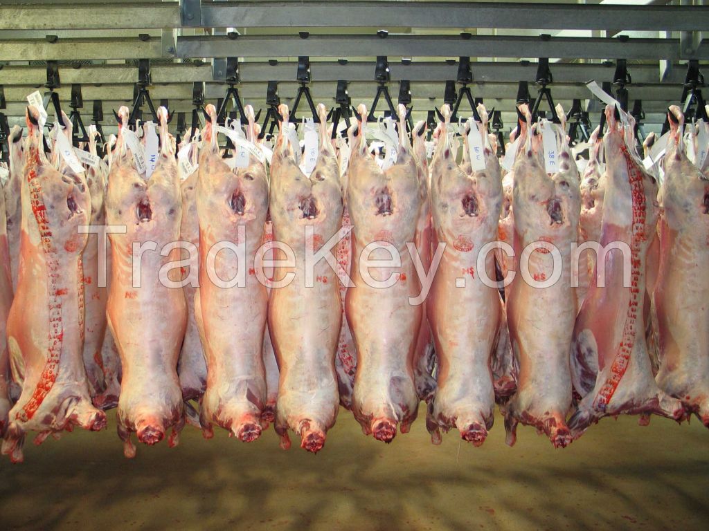 Quality Halal Goat Carcass