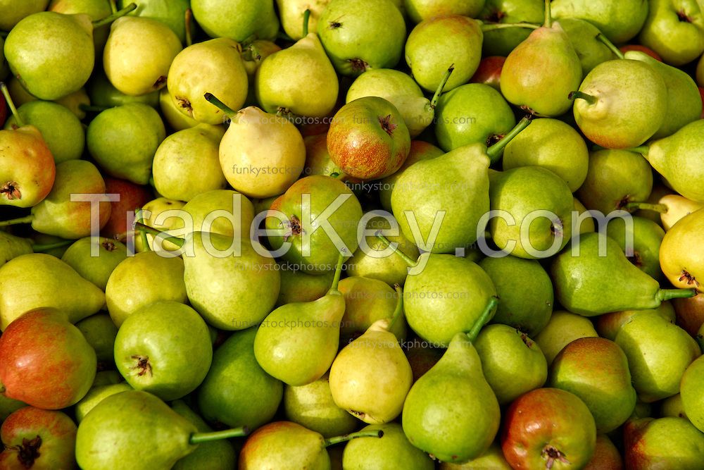 Fresh Pears