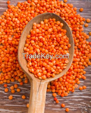 Red Lentils ( Whole And Split Available)