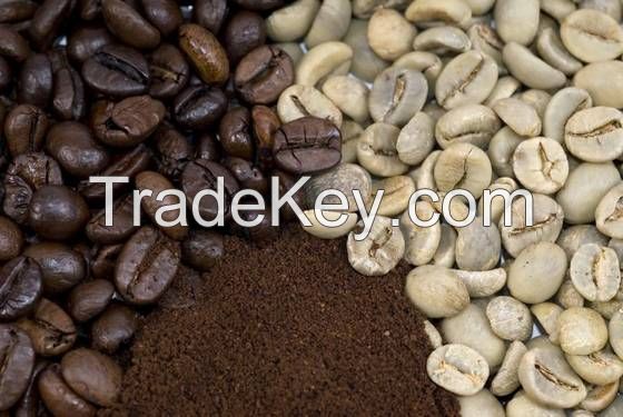 Robusta coffee beans