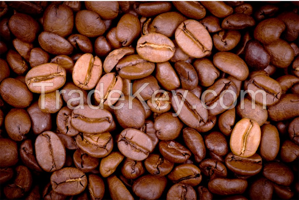 ARABICA COFFEE BEANS