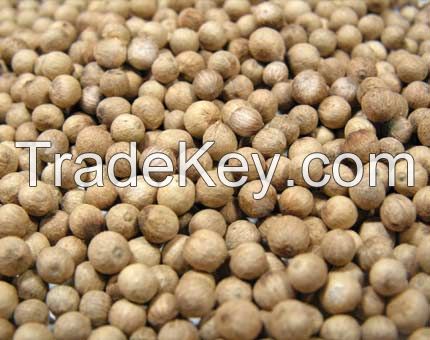 Best Quality White Pepper