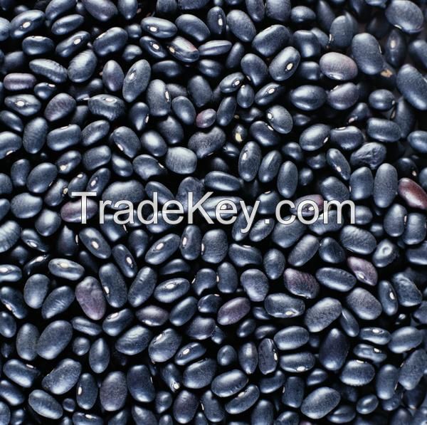Quality Black Beans