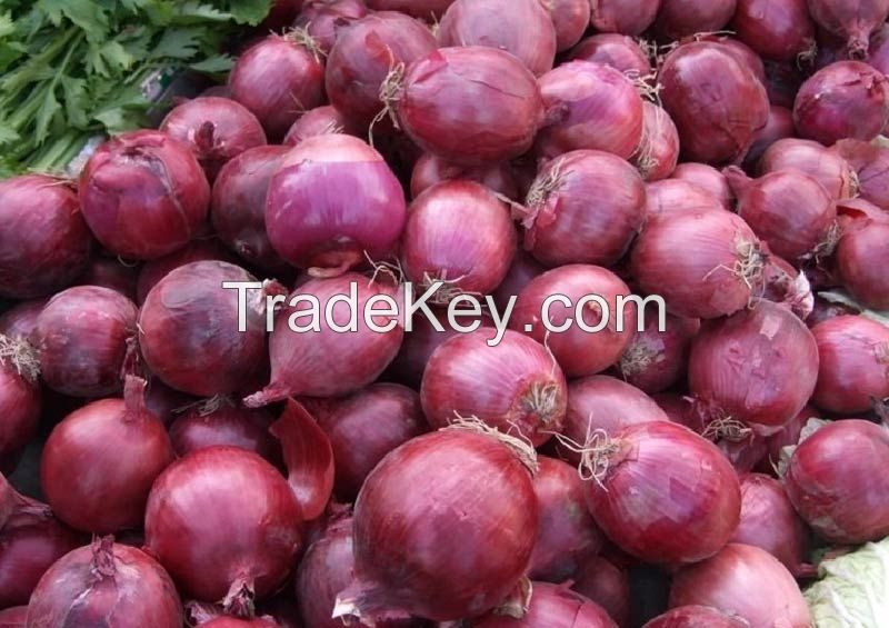 Red/White And Brown Onion