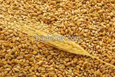 Wheat, Buckwheat, Barley, Pearl Barley, Millet, 