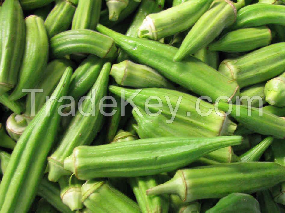 Sell Fresh Okra