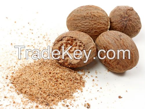 Nutmeg Extract/Nutmeg Powder/Nutmeg Seed