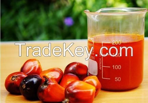 Grade A Crude Palm Oil