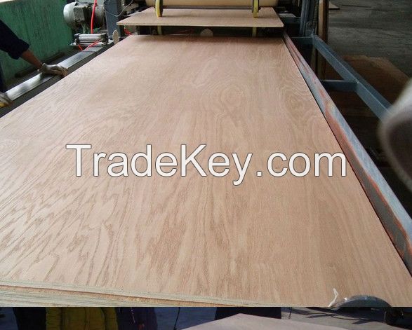 Special prices furniture grade okoume plywood