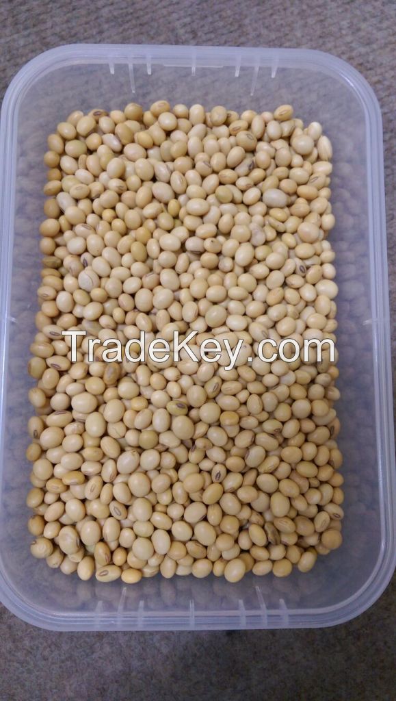 Sell non-GMO soybeans
