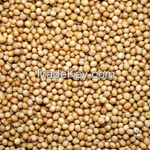 White Mustard Seeds