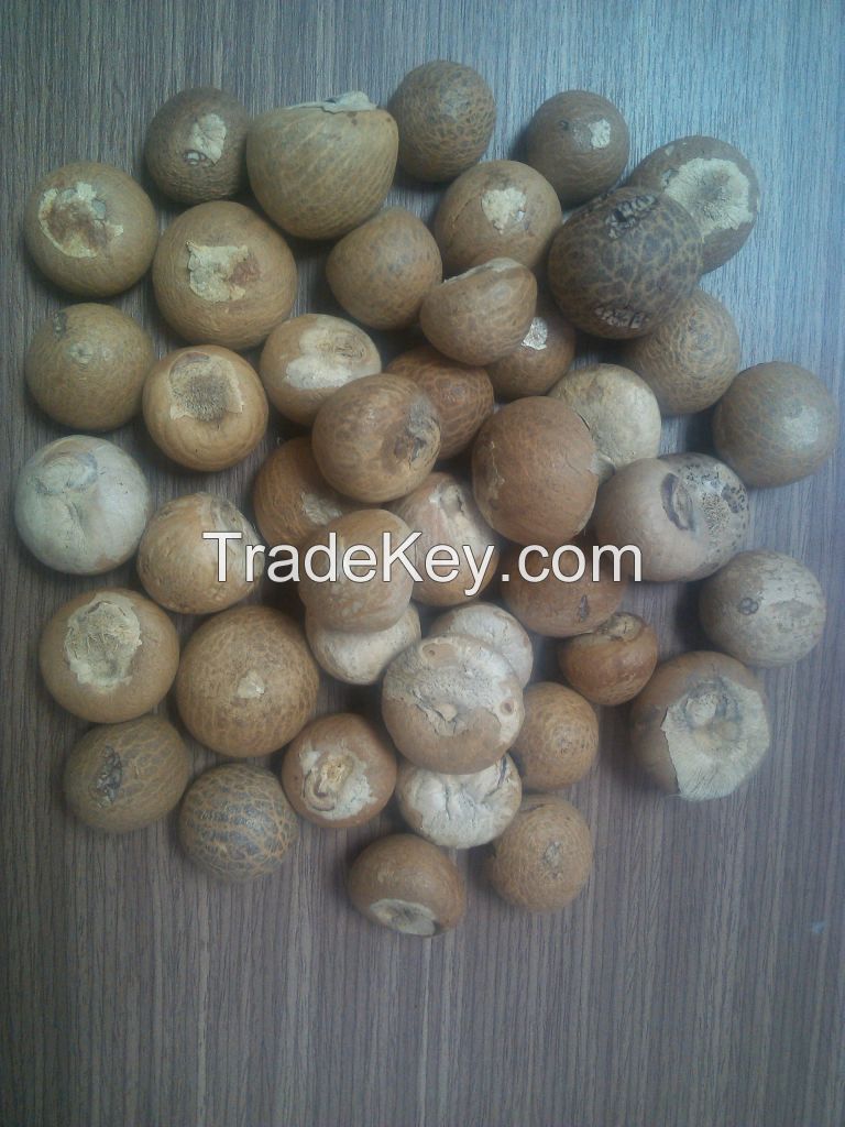 Competitive price for betel nut from Vietnam