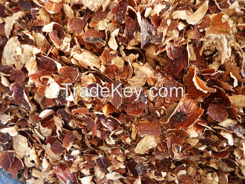 Cashew husk with competitive price from Viet Nam