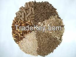 Big sales of fish meal 55% min protein for animal feed