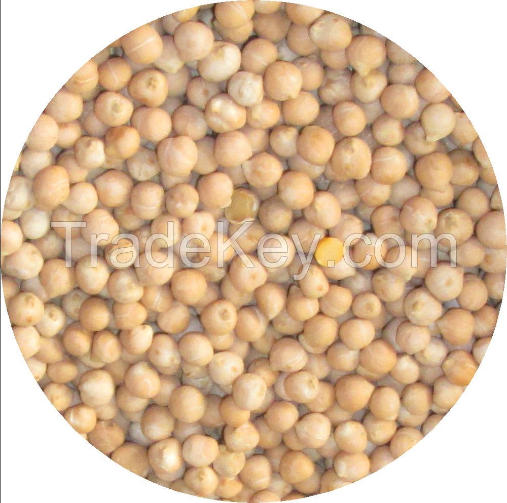 Chickpeas