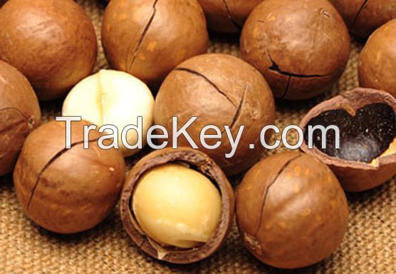 Organic Macadamia nuts