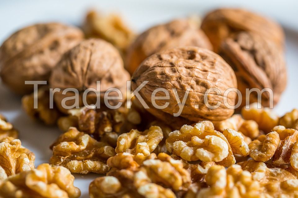 Factory Direct Sales Walnut Kernels with Top Quality