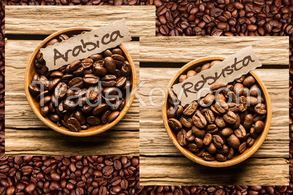 Roasted/Unroasted Arabica Coffee Beans