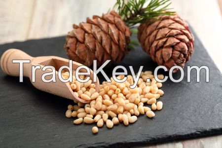 High Quality Grade A Pine Kernel/nuts