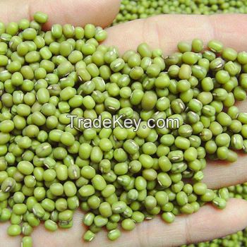 100% GREEN MUNG BEANS