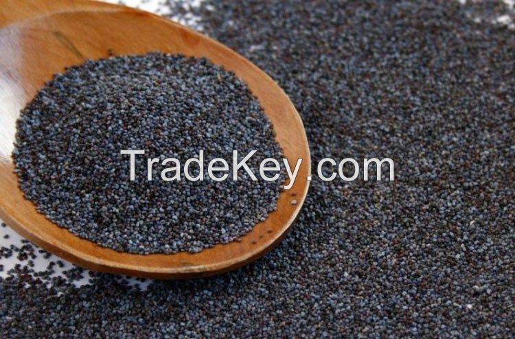 Quality Blue Poppy Seeds