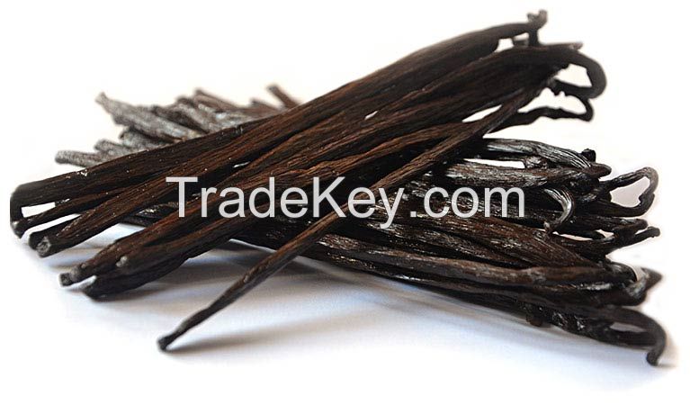 Hot selling Madagascar Vanilla Beans