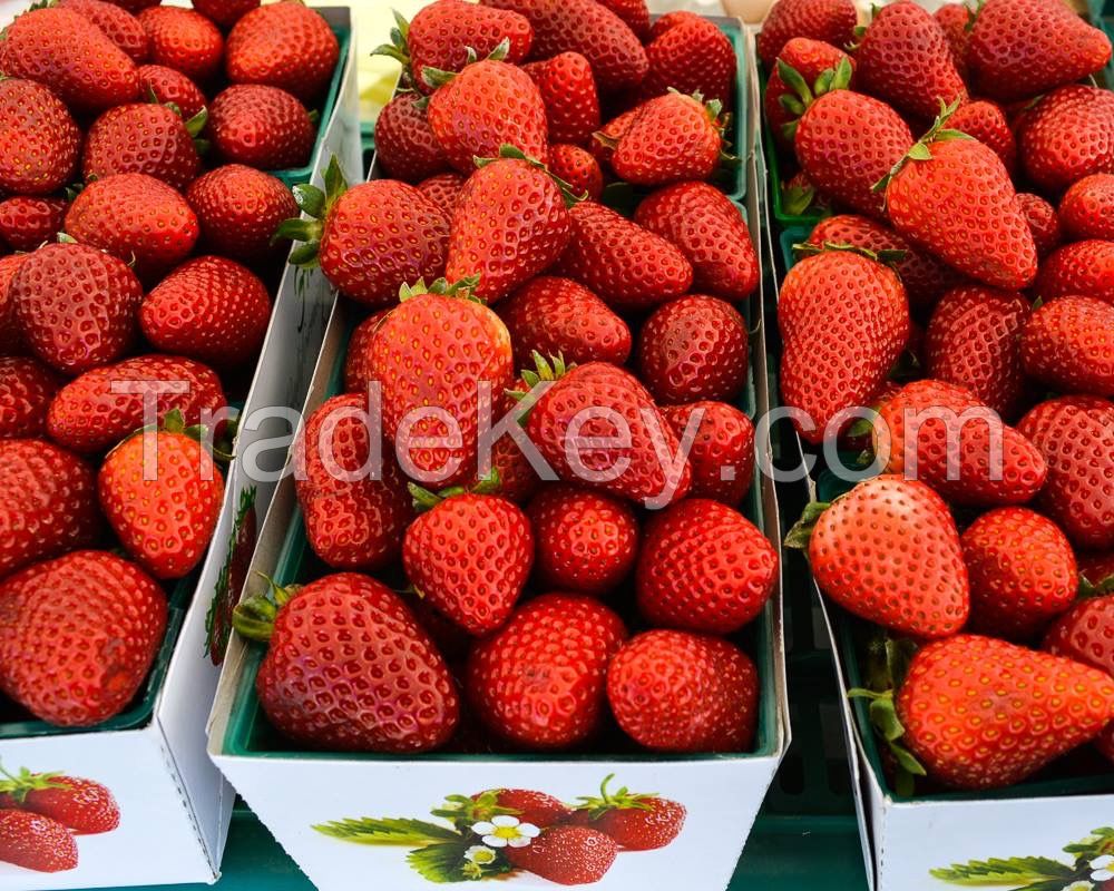 FRESH/FROZEN AUSTRALIAN STRAWBERRIES