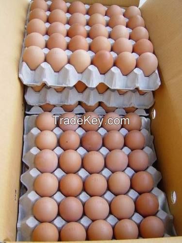 FRESH WHITE AND BROWN EGGS