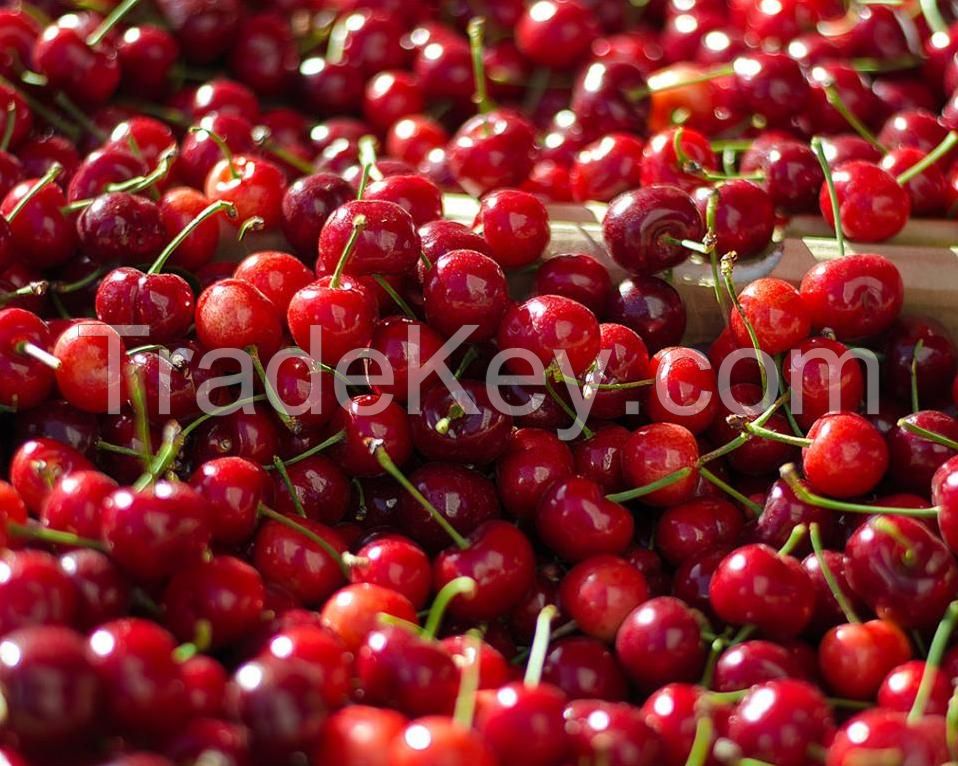 Fresh and Frozen Sweet Cherries