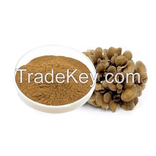 Anti-cancer Willow Bracket Mushroom Extract /Phellinus Igniarius Extract Powder with