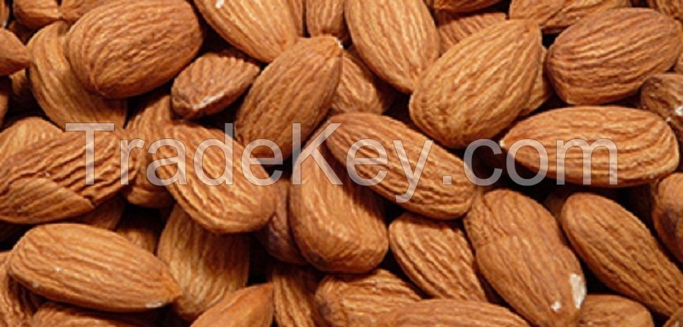 Natural Dried Almond Seeds