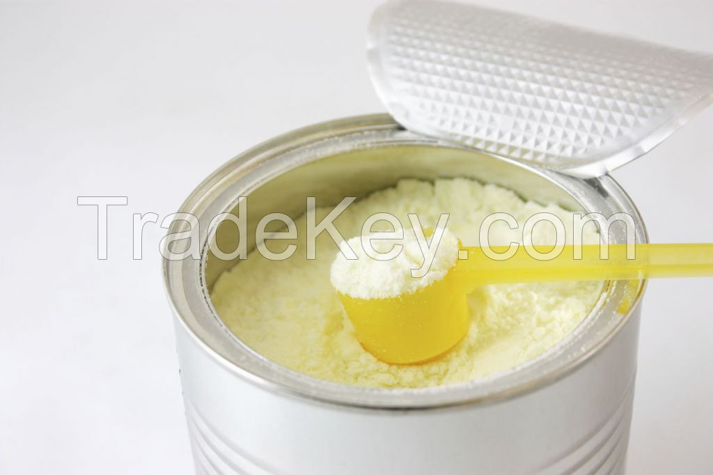 Dutch Brand Baby Milk Powder - 1