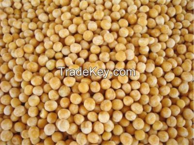Yellow Peas for sale
