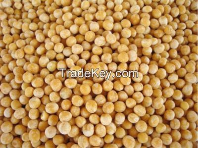 Whole Yellow Peas for Sale