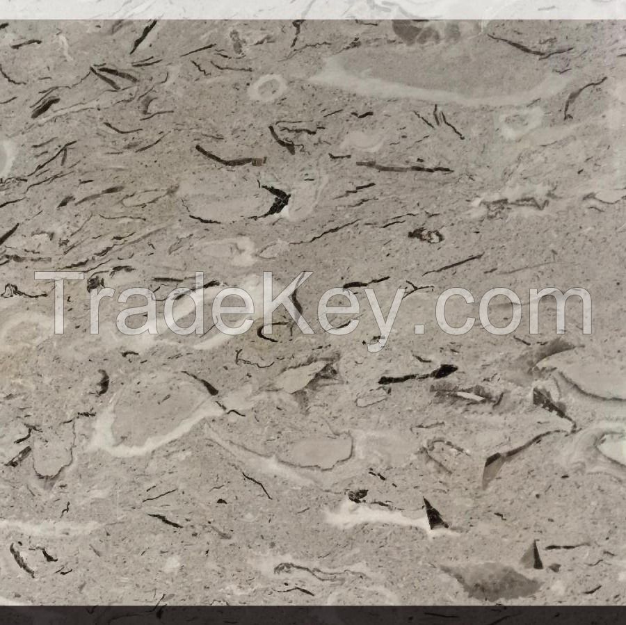 Italy Marble Natural Marble Repen Slab