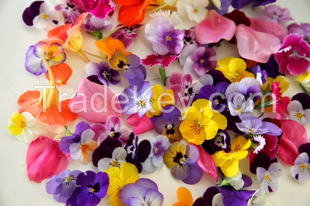 Edible Flowers By Syez Marketing Malaysia