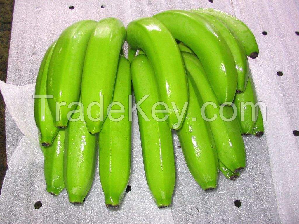 Green Bananas