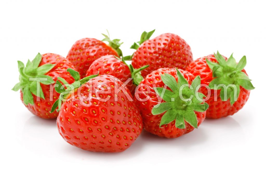 Freshest Strawberry