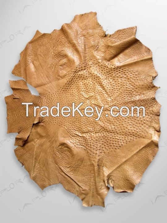 Ostrich Skin Leather