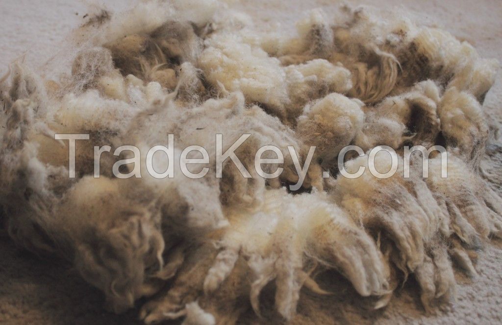 Raw Wool