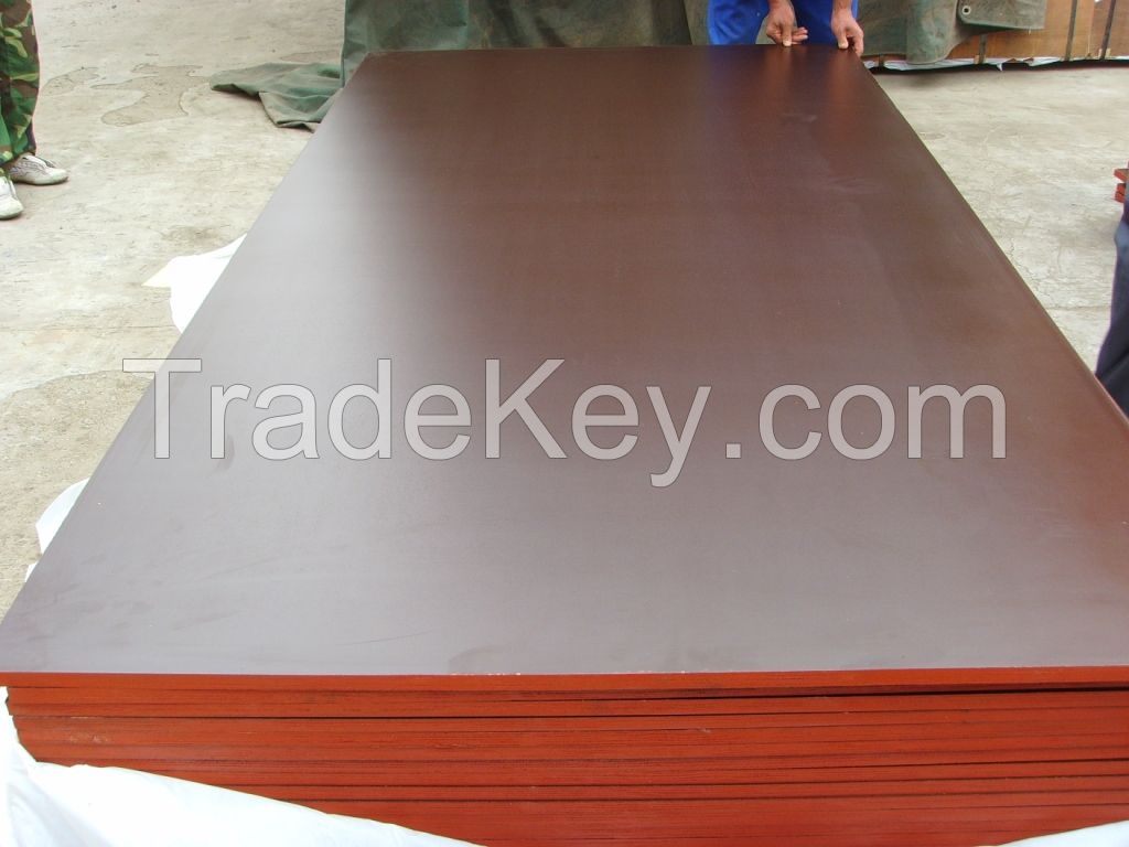 low price high quality plywood for construction