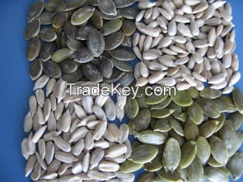 Pumpkin Seeds Kernels