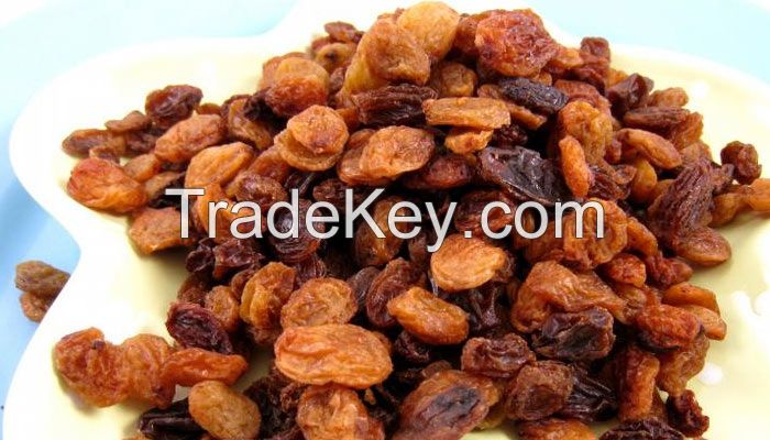 Golden Dried Raisins