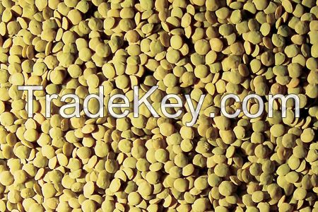 Wholesale Green Lentils