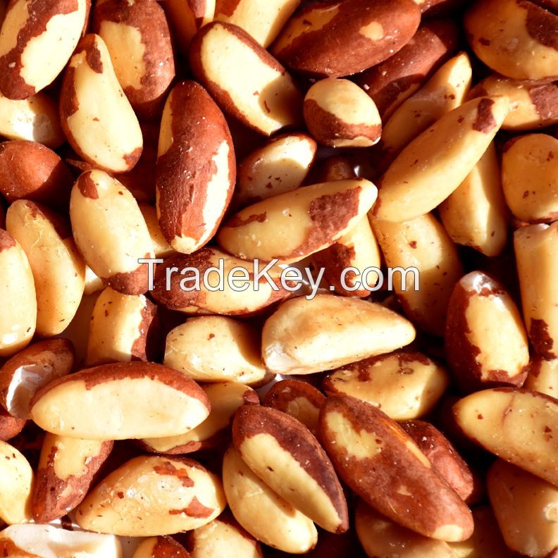 High Quality Raw Brazil Nuts