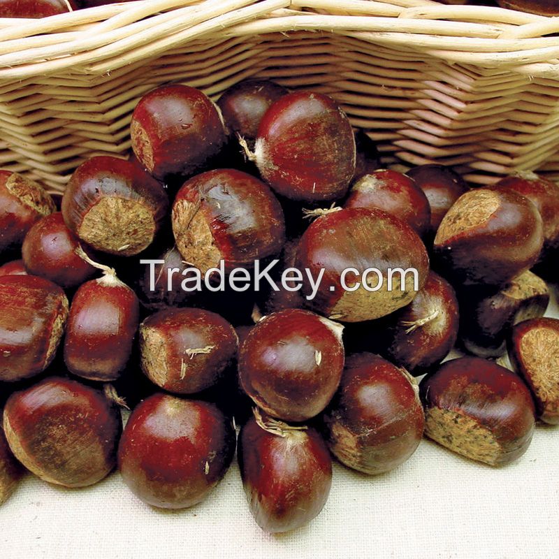 Chestnuts