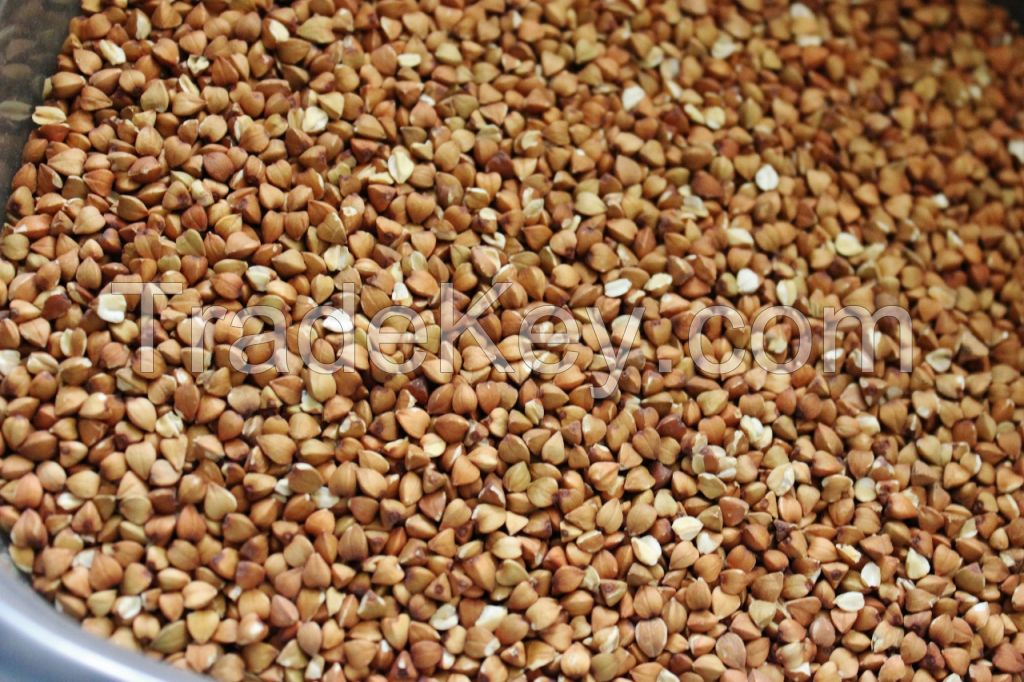 Top Quality Roasted Buckwheat