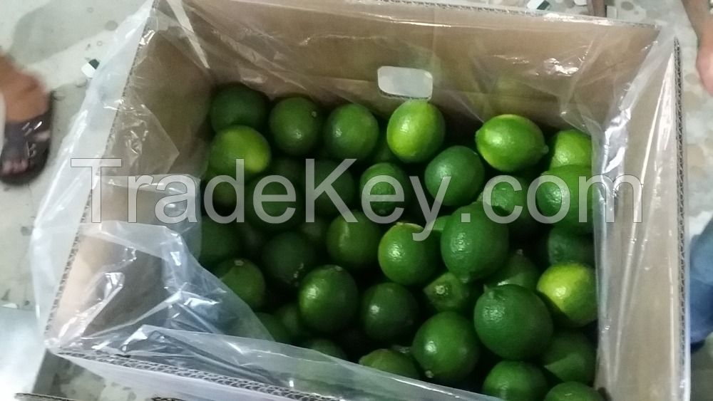 Fresh Seedless Limes